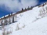 Steep slope at the Lady Morgan Express
