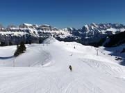 Intermediate slope below the Maschgenkamm