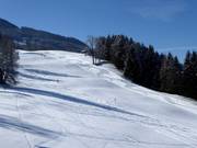 Easy slope on the Rohrmoos Plateau