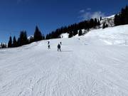 Easy slope at the Caischavedra practice lift