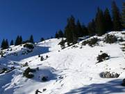 Powder snow in the upper area