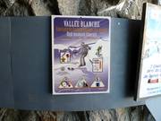 The Vallée Blanche is one of the most popular descents for advanced skiers.