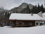 Buchaueralm on the valley run