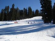 Forest glade slopes in the Sierra at Tahoe ski area