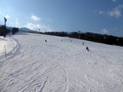 Wide and easy slope Family