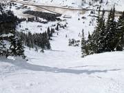 Steep terrain starting from the High Traverse (Alf's High Rustler)