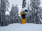 High-performance snow cannon at Red Mountain Resort