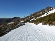 Slope Mother Johnson's Return