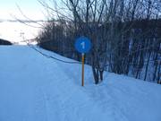 Slope marking in the Savin Kuk ski area