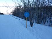 Slope marking in the ski resort of Savin Kuk