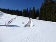 Conveyor belt in Fiorentini