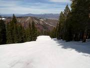 Robinson's downhill run