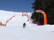 Speed measurement course at the Almbahn, Ellmau