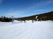 Practice slope Gaiastova