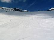 Black slope Wilerriebi