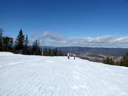 Summit at 546 m in the Varingskollen ski area