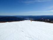 Easy and wide slope Panoramabakken No. 19