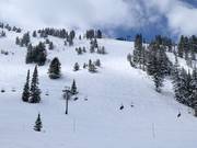 Steep slopes at the Powderhorn II chairlift