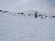 Off-piste area at Gaustablikk