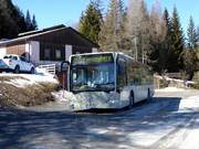 Ski bus to Fanningberg