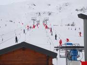 Petite Verdette - J-bar