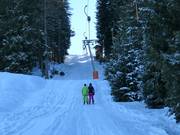 Ochsenhöflelift - T-bar