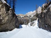 Slope No. 62 Vitelli Bassa