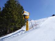 High-performance snow cannon at Chuenisbärgli