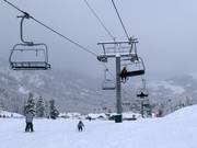 Littlecat Express - 4pers. High speed chairlift (detachable)