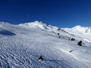 Endless powder slopes in Hochzillertal