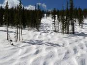 Mogul slope in Winter Park