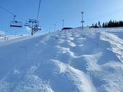 Mogul slope at the Front Slopes
