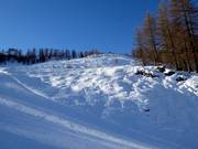 Freeride area Gamskogel