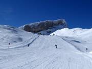 IF5 ski glide trail Gottesacker