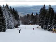 Easy Stierwiesenabfahrt