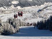 8er Königslehenbahn I - 8pers. Gondola lift (monocable circulating ropeway)