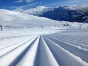 Grooves in the morning