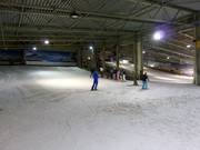 Beginner area in the lower part of the ski hall