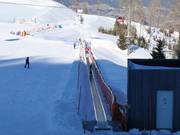 Zauberteppich Goldeck - People mover/Moving Carpet