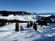 View over the ski resort of Grasgehren