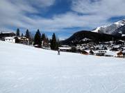 Easy slopes in the Birkenlifte & Geigenbühel ski area