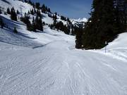 Easy slope Hühnerspiel-Lochstafel