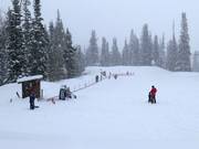 Conveyor belt for beginners at the mountain station of the Red Pine Gondola