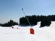 Comprehensive snow-making facilities in Pamporovo
