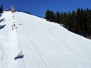 Knobel FIS slalom course