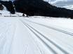 Cross-country skiing Swabia (Schwaben) – Cross-country skiing Balderschwang – Hochschelpen/Riedberger Horn