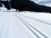Cross-country ski trails in Balderschwang