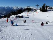 View of the easy slope at the Ötzilift