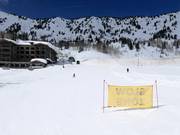 Easy slope at the Snowpine chairlift