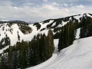 View of the slopes at Aspen Mountain